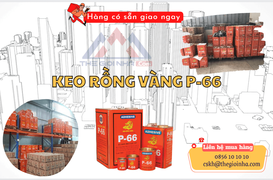Keo rồng vàng P66